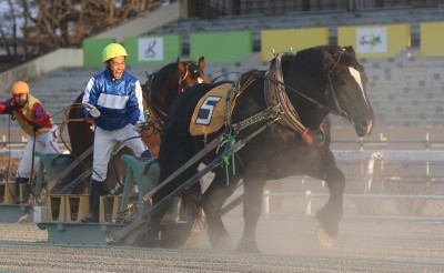 林康文騎手　初勝利