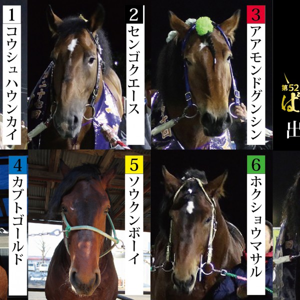 第52回ばんえい記念 出走馬 確定 | 【公式】ばんえい十勝