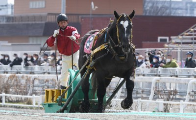 令和2年度第１回能力検査結果～トップタイムはアルジャンノオー号～