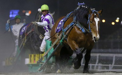 4月25日（土）メインレース騎手コメント　センリョウボス