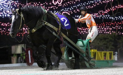 5月2日（土）メインレース騎手コメント　ウンカイタイショウ