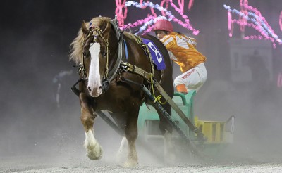 5月23日（土）メインレース騎手コメント　シンエイパワー