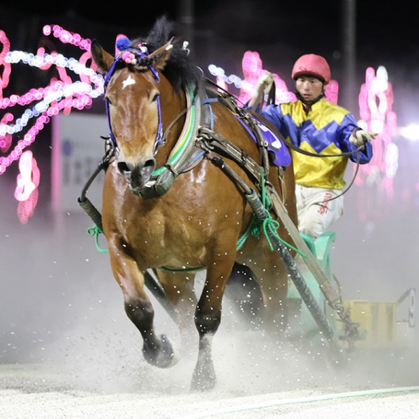 【早い者勝ち】 aimeine エメイン　ゴールドモチーフポインテッドミュール ゴールドモチーフポインテッドミュール｜PETAL ONLINE（ペタルオンライン）