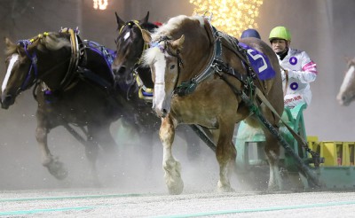 6月6日（土）メインレース騎手コメント　ノエルブラン