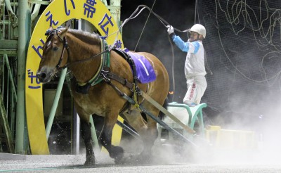 6月8日（月）メインレース騎手コメント　サクラドリーマー