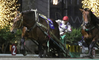 6月20日（土）メインレース騎手コメント　オレノタイショウ