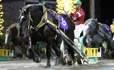 7月4日（土）メインレース騎手コメント　コマサンダイヤ