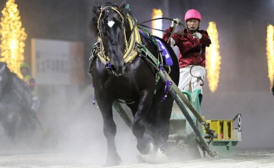 7月11日（土）メインレース騎手コメント　コマサンダイヤ