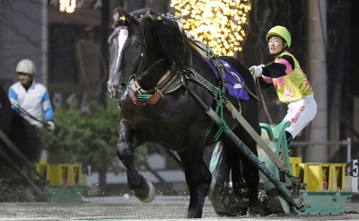 7月25日（土）メインレース騎手コメント　ダイリンファイター	