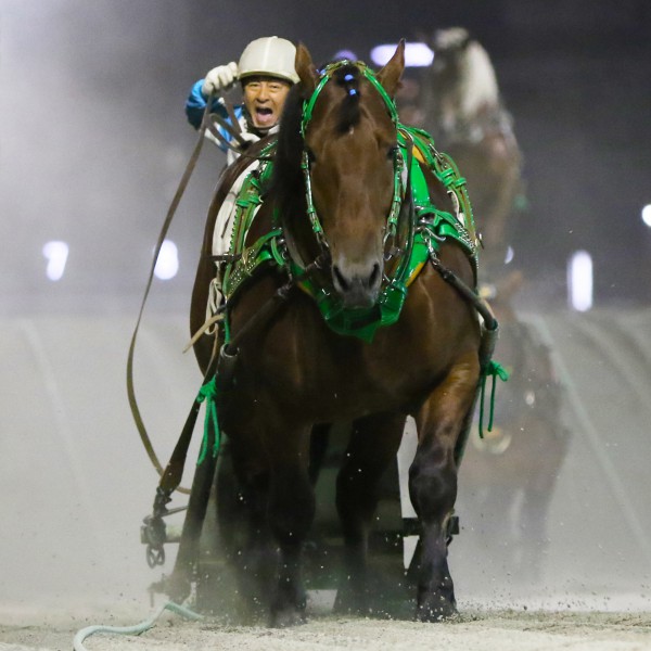 新品　未開封　ばんえい競馬　十勝　ばんえいグランプリ　法被　和　祭り　日本　赤 ばんえいグランプリ | 【公式】ばんえい十勝