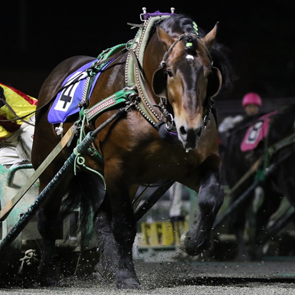 10月5日（月）ばんえい競馬 開催日です | 【公式】ばんえい十勝