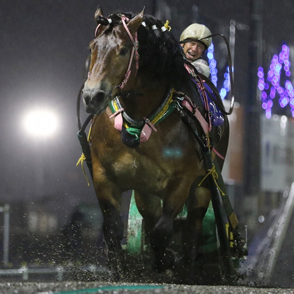 【早い者勝ち】 aimeine エメイン　ゴールドモチーフポインテッドミュール ah7uWAHG1602501977_m.jpg