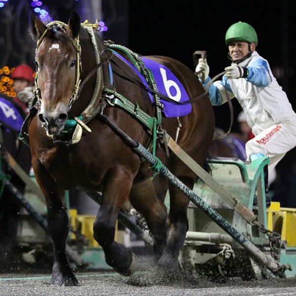 競馬メーンレースの勝ち馬は最終レースでわかる入手困難品クーポン限定ポイント殺菌済 競馬メーンレースの勝ち馬は最終レースでわかる入手困難品