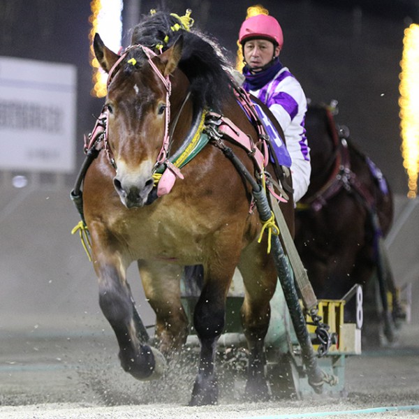 12月21日（月）メインレース騎手コメント メムロボブサップ | 【公式