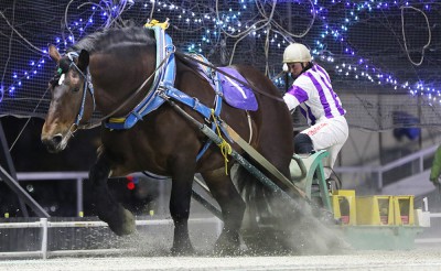 1月6日（水）メインレース騎手コメント　ホクショウマサル