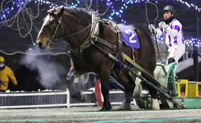 1月12日（火）メインレース騎手コメント　タカラウンカイ