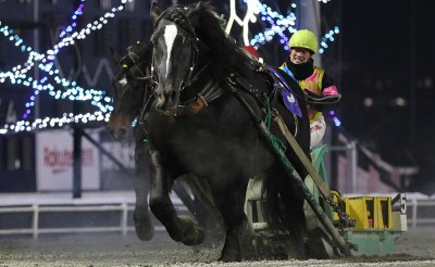 1月18日（月）メインレース騎手コメント　ダイリンファイター	