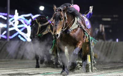 2月1日（月）メインレース騎手コメント　コマサンエース