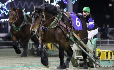 2月6日（土）メインレース騎手コメント　コマサンエース