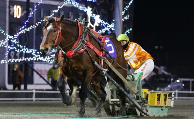 2月20日（土）メインレース騎手コメント　ココロノタカラ