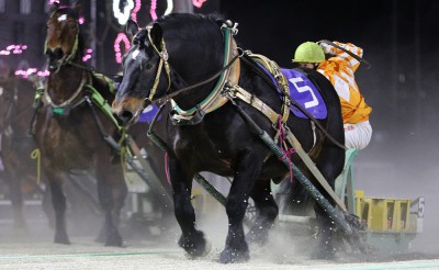 3月12日（金）メインレース騎手コメント　ムサシブラザー