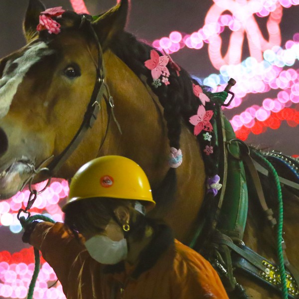 5月8日（土）ばんえい競馬 開催日です | 【公式】ばんえい十勝