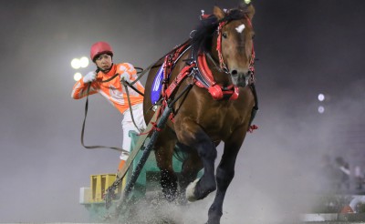 5月8日（土）メインレース騎手コメント　ココロノタカラ号