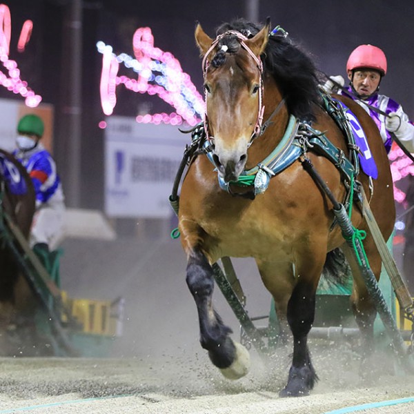 5月16日（日）メインレース騎手コメント メムロボブサップ号 | 【公式