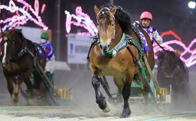 5月16日（日）メインレース騎手コメント　メムロボブサップ号