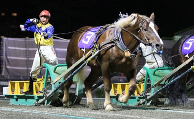 5月17日（月）メインレース騎手コメント　カイセキングオー号