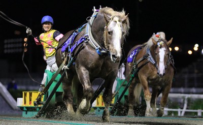 5月22日（土）メインレース騎手コメント　	ハクタイホウ号