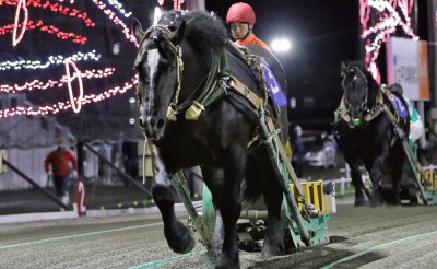 5月23日（日）メインレース騎手コメント　ウンカイタイショウ号