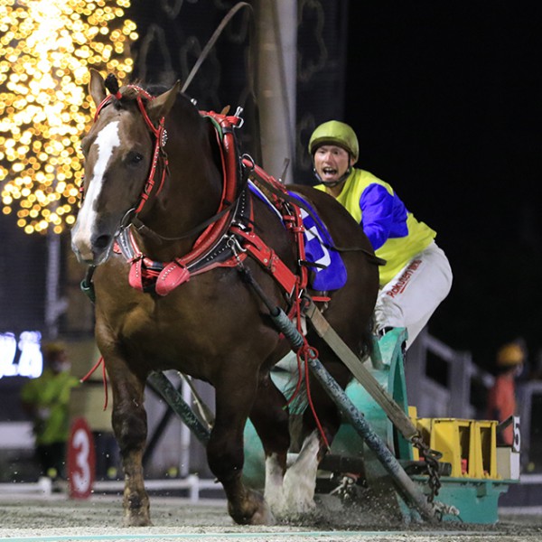 競馬メーンレースの勝ち馬は最終レースでわかる入手困難品クーポン限定ポイント殺菌済 競馬メーンレースの勝ち馬は最終レースでわかる入手困難品