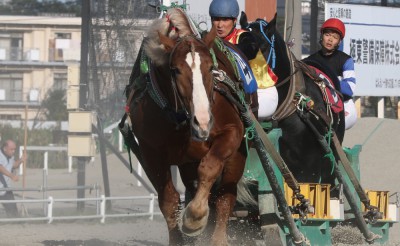 松田道明騎手 通算2,500勝を達成