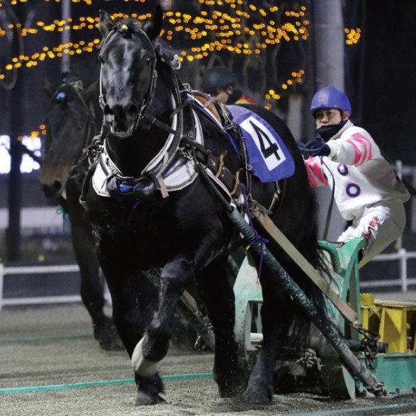 競馬 歴代ばんえい最強馬投票優勝馬 鈴木恵介騎手直筆サイン木箱 証明書入り蹄鉄 競馬 歴代ばんえい最強馬投票優勝馬 鈴木恵介騎手直筆サイン木箱