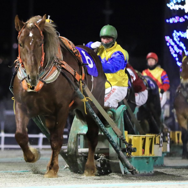 12月18日（土）メインレース騎手コメント ジェイトップ号 | 【公式