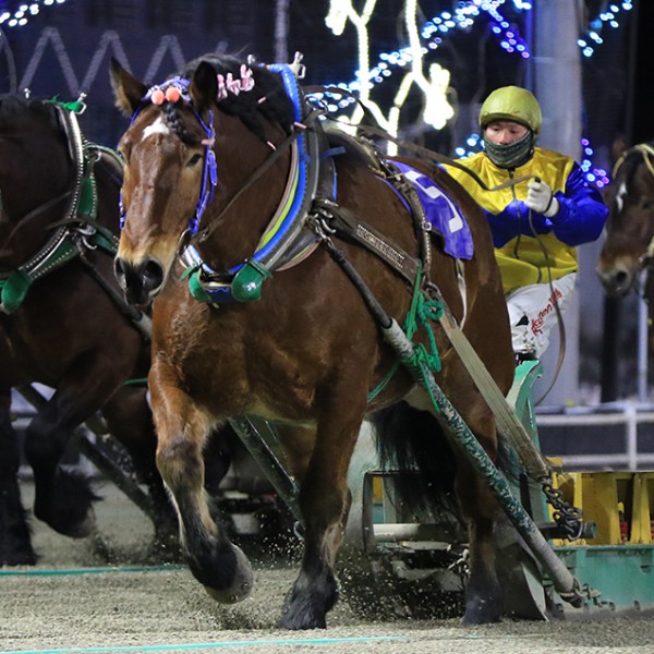 1月22日（土）メインレース騎手コメント アアモンドグンシン号