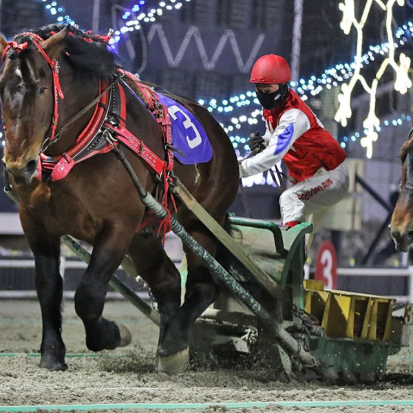 2月21日（月）ばんえい競馬 開催日です | 【公式】ばんえい十勝
