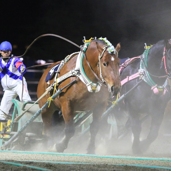 「第43回ポプラ賞」(BG3)の結果 【公式】ばんえい十勝