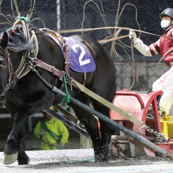 大幅値下げ中！【激レア】ばんえい十勝JRA騎手生サイン入りポスター 激レア】ばんえい十勝JRA騎手生サイン入りポスター アイドル