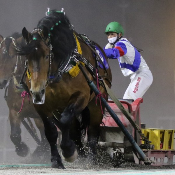 競馬メーンレースの勝ち馬は最終レースでわかる入手困難品クーポン限定ポイント殺菌済 競馬メーンレースの勝ち馬は最終レースでわかる入手困難品