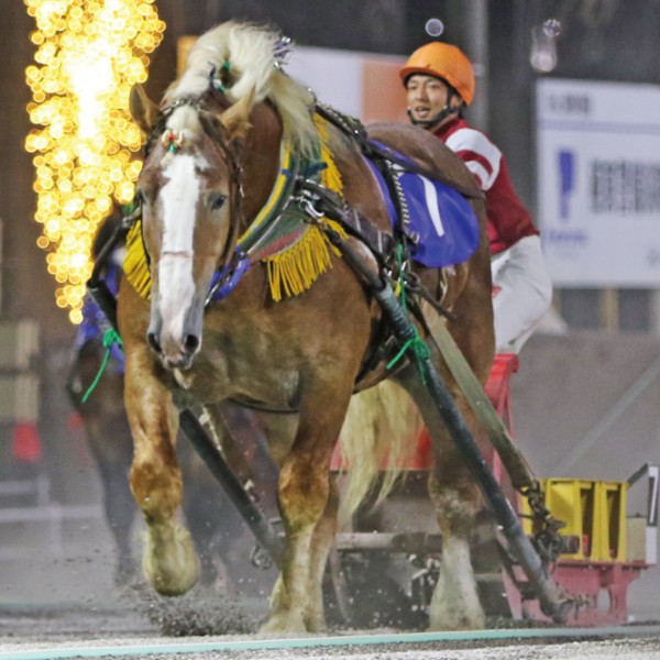 7月2日（土）メインレース騎手コメント ノエルブラン号 | 【公式