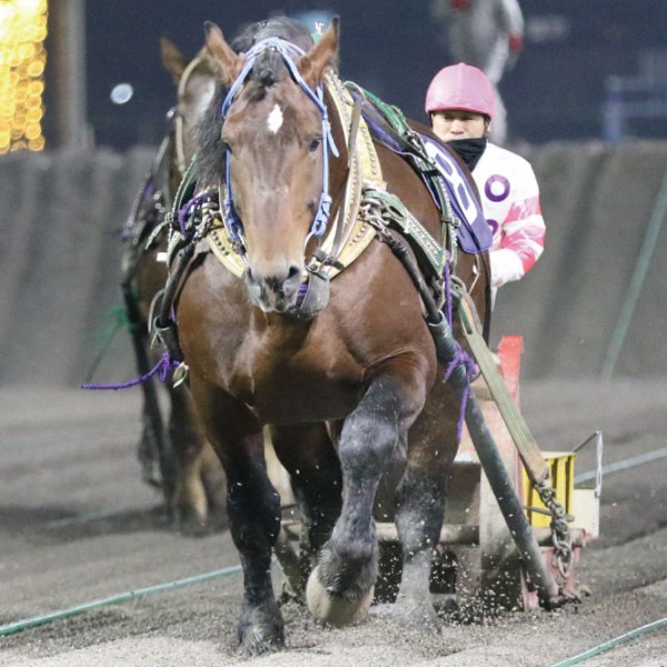 11月19日（土）メインレース騎手コメント マサタカラ号 | 【公式