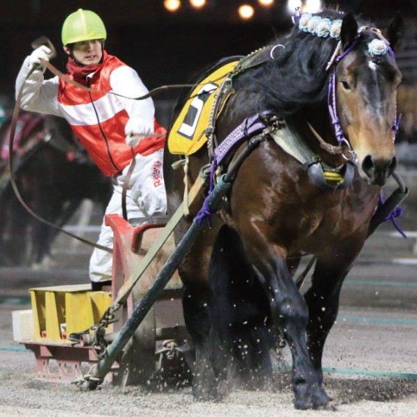 大幅値下げ中！【激レア】ばんえい十勝JRA騎手生サイン入りポスター 2023オークス ポスター｜日本サイン競馬会