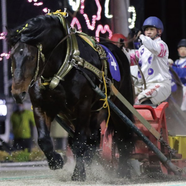 競馬 歴代ばんえい最強馬投票優勝馬 鈴木恵介騎手直筆サイン木箱 証明書入り蹄鉄 鈴木恵介騎手 通算3,500勝達成セレモニー - YouTube