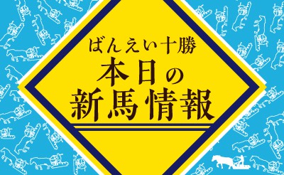 6/3　新馬情報