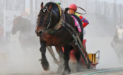 【追記セレモニー日時決定】長澤幸太騎手通算1,000勝を達成