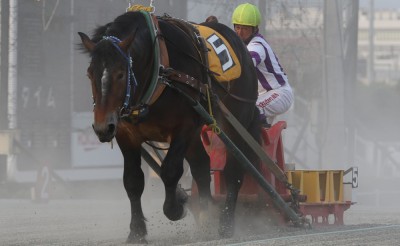 【追記セレモニー日時決定】阿部武臣騎手通算2,000勝を達成