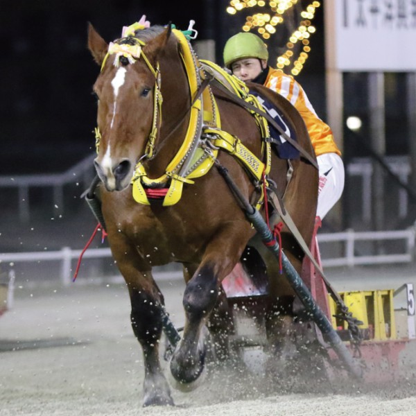 第14回ドリームエイジカップ」（BG3）の結果 | 【公式】ばんえい十勝