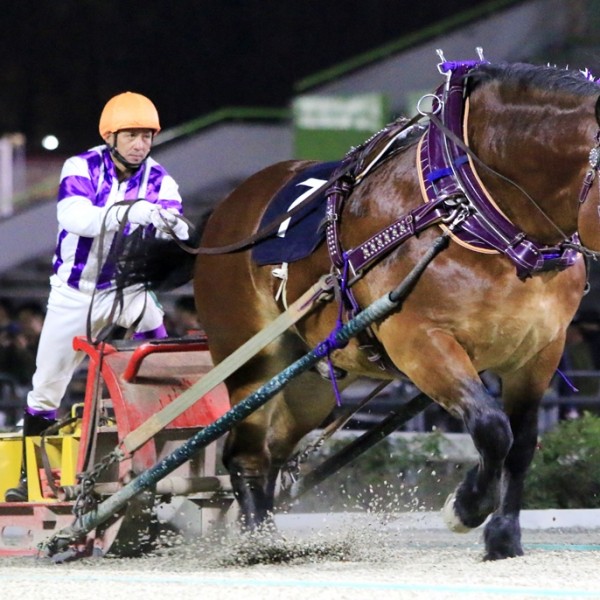 第45回北見記念」（BG2）の結果 | 【公式】ばんえい十勝